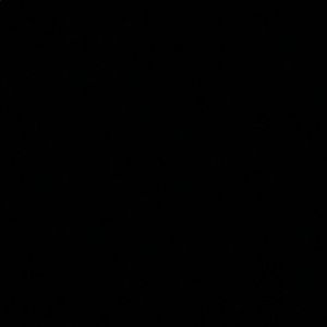 Meet your Posher, Lily ðº